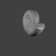 ammonite2-gif.gif Fichier 3D Ammonites・Plan pour imprimante 3D à télécharger