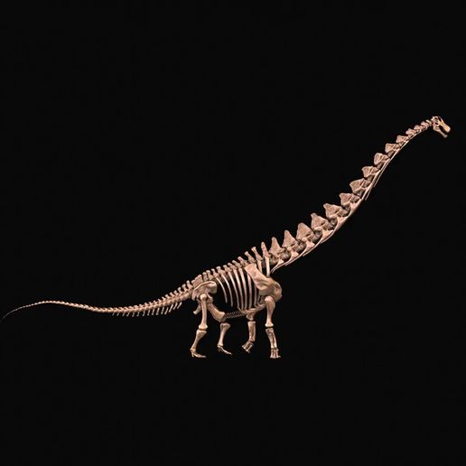 Alamosaurus.mp4 Alamosaurus: Complete skeleton