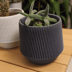 ezgif.com-gif-maker.gif Download file Cactus Pot Set • 3D print template, onurcanbaytok