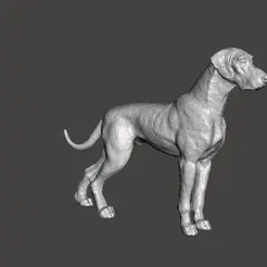 GIF.gif Fichier STL figurine d'animal de compagnie d'un chien dogue allemand carlin allemand alano・Plan à imprimer en 3D à télécharger
