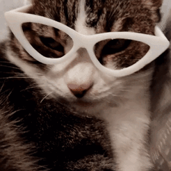 1674353076615.gif 3D file LENSES FOR ANIMALS・3D printable model to download