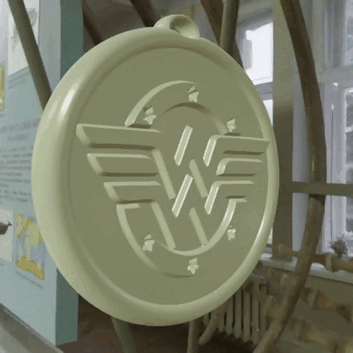 Wonder Woman Key Ring 3D model