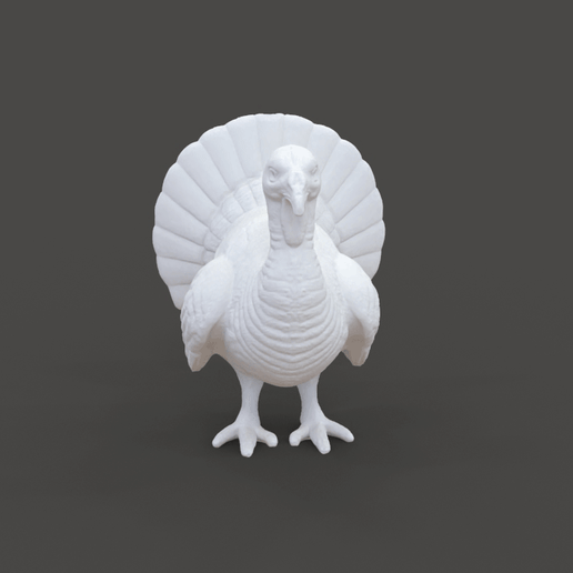 🦃 Turkey・ STL File for 3D printing・Cults