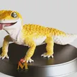 Leopard-Gecko.gif Leopard Gecko - VRML Color 3d print & STL  -Lizard