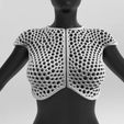 untitled.724.gif PRINTED CLOTHES TOP BODY TOP VORONOI CLOTHES