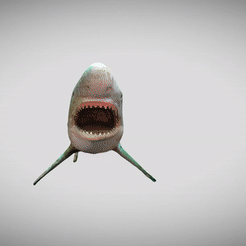 ezgif-3-00a4888e38.gif STL file The shark from the chalk lake・3D printer model to download
