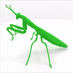 Mantis.gif STL file Praying mantis・3D printable model to download