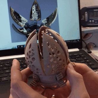 carré.gif caja de flores