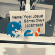 1.gif Sonic ID Card