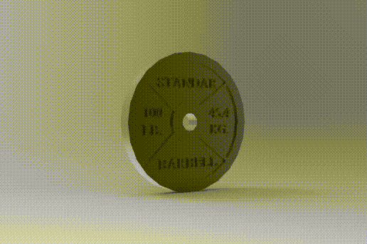 Standard Barbell 100 Lb - 3D model önizlemesi