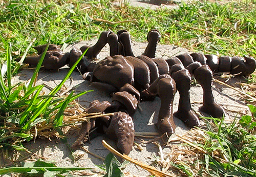 GIF4-ESCORPION.gif Scorpion FLEXI