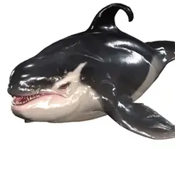 2-GIF.gif ORCA Killer Whale Dolphin 0 FISH sea CREATURE 3D MODEL ANIMATED RIGGED - BLENDER - 3DS MAX - MAYA - UNITY - UNREAL