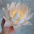 video_1.mp4 Nymphaea Siam Blanco - Luz de noche LED Modelo de impresión 3D 🌸
