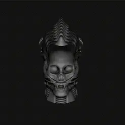 alien-skull.gif Alien  Xenomorph