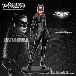 SG01_AnimatedGif.gif Catwoman (Selina kyle)  from The Dark Knight Rises Movie