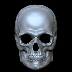 Video_1653307363.gif Archivo STL Skull Mask・Modelo de impresora 3D para descargar, chazz1981