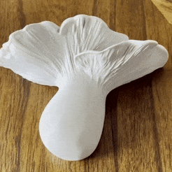 cropped-video.gif Файл STL Царский трутовик Настенный гриб・Шаблон для 3D-печати для загрузки