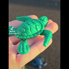Sea-Turtle-GIF-2-fits-screen-Made-with-Clipchamp.gif Flexi Baby Sea Turtle