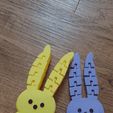 20230311_172000.gif Peep Bunny Flexi Ear Sensory Fidget Easter Gift