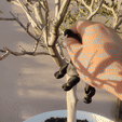ezgif.com-gif-maker-1.gif Mono articulado