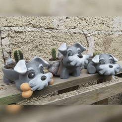 GIF-MACETA-SCHNAUZER.gif STL file SCHNAUZER POT・Template to download and 3D print