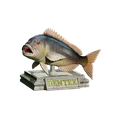 Dentex-trophy.gif fish Common dentex / dentex dentex trophy statue detailed texture for 3d printing