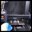Comp-1_9.gif Hoppy smiling // PRINT-IN-PLACE WITHOUT SUPPORT