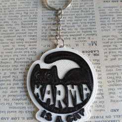 20230808_101446-ANIMATION.gif STL file Karma is a cat - Taylor Swift・3D printing design to download