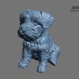 schnauzer3dwp.gif STL file Schnauzer Puppy・Design to download and 3D print