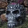 20230321_090838.gif 2 Designs, Catacombs Skull package, by Pretzel Prints