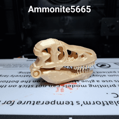 Ammonite5665 srey7 wo7s30g oF els a LOG PYI UO AYDIWSY SS opow Bunuiad sore PT7oS APJ PANFEIFPAUIDY S WADHAR\S QW Fichier STL Crâne articulé de Tyrannosaurus Rex・Plan à imprimer en 3D à télécharger, ammonite5665