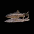 pstruh-klacky-1-2.gif rainbow trout 2.0 underwater statue detailed texture for 3d printing