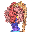 ATPsynthase_animated.gif ATP-Synthase-Protein