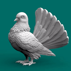 ezgif.com-video-to-gif.gif Taube
