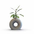 untitled.283.gif Toroid Vase - Modern and Versatile 3D Design