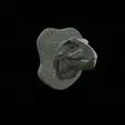 my_project-1.gif t-rex head trophy on the wall / two faces / dinosaur