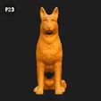 211-Belgian_Shepherd_Dog_Malinois_Pose_04.gif Belgian Shepherd Dog Malinois Dog 3D Print Model Pose 04
