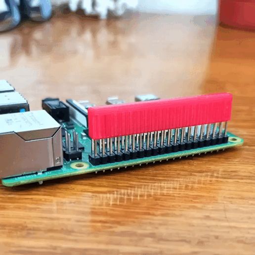 video.gif Raspberry pins defender