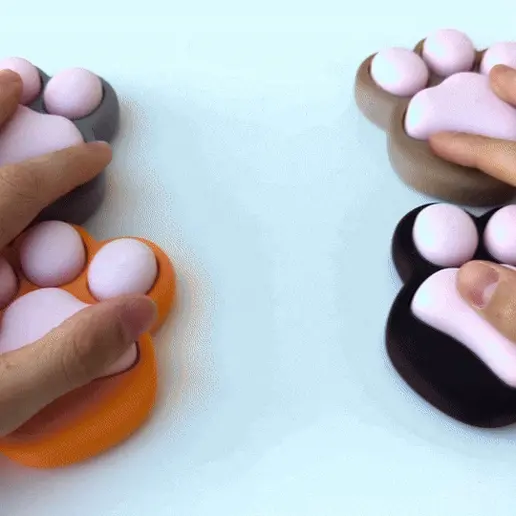 Fidget Paw