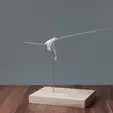 sequence.gif Full size Archaeopteryx skeleton