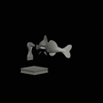 render-3.gif zander / pikeperch / Sander lucioperca fish in motion trophy statue detailed texture for 3d printing