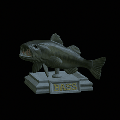 Bass-stocenej-FR-1.gif STL file fish bass trophy statue detailed texture for 3d printing・3D printing model to download