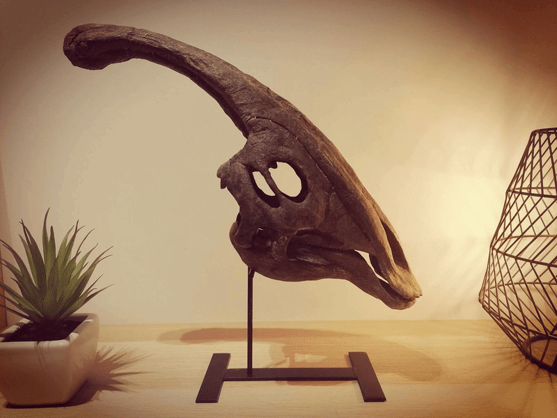 Webp.net-gifmaker.gif Fichier STL Crâne de dinosaure - Parasaurolophus・Plan imprimable en 3D à télécharger, Think3dprint