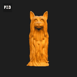 073-Australian_Silky_Terrier_Pose_01.gif Australian Silky Terrier Dog 3D Print Model Pose 01