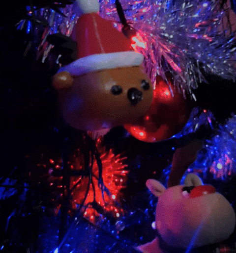 InShot_20231216_085549091.gif reindeer with red nose / adorno navidad / red nose reindeer / christmas ornament