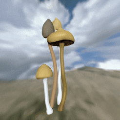 mushroom-psilocybes-semilanceata-2.gif Файл STL гриб псилоцибес полуланцетата・3D-печатная модель для загрузки