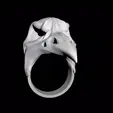 tbrender.gif RAVEN RING