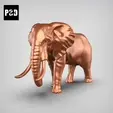 gif.gif african elephant pose 03