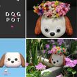 Cod158-Dog-Pot.gif 3D file Dog Pot・Design to download and 3D print