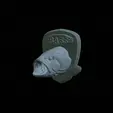 Fr-3.gif fish head bass trophy statue detailed texture for 3d printing